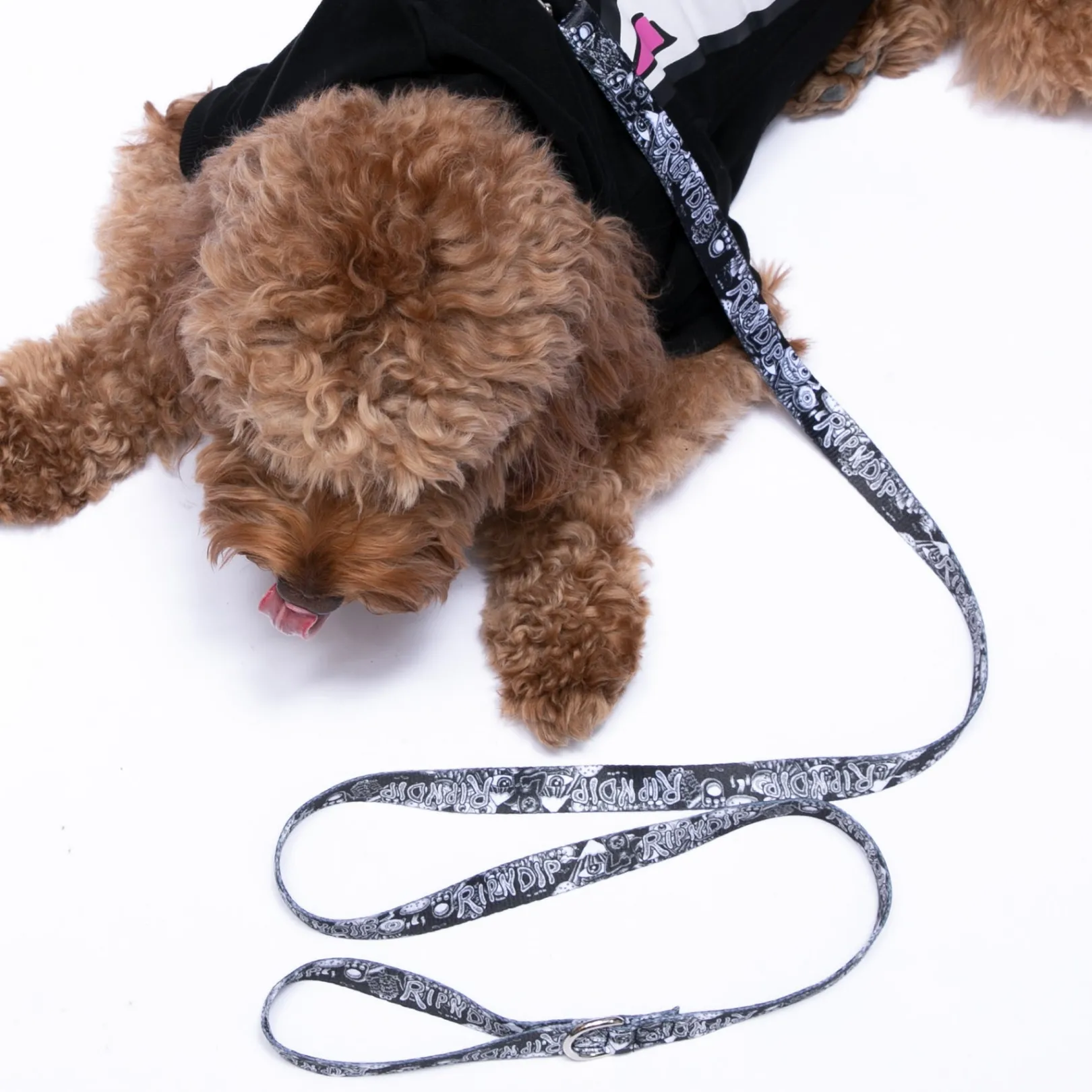 Dark Twisted Fantasy Pet Leash (Black/White)<Ripndip Best