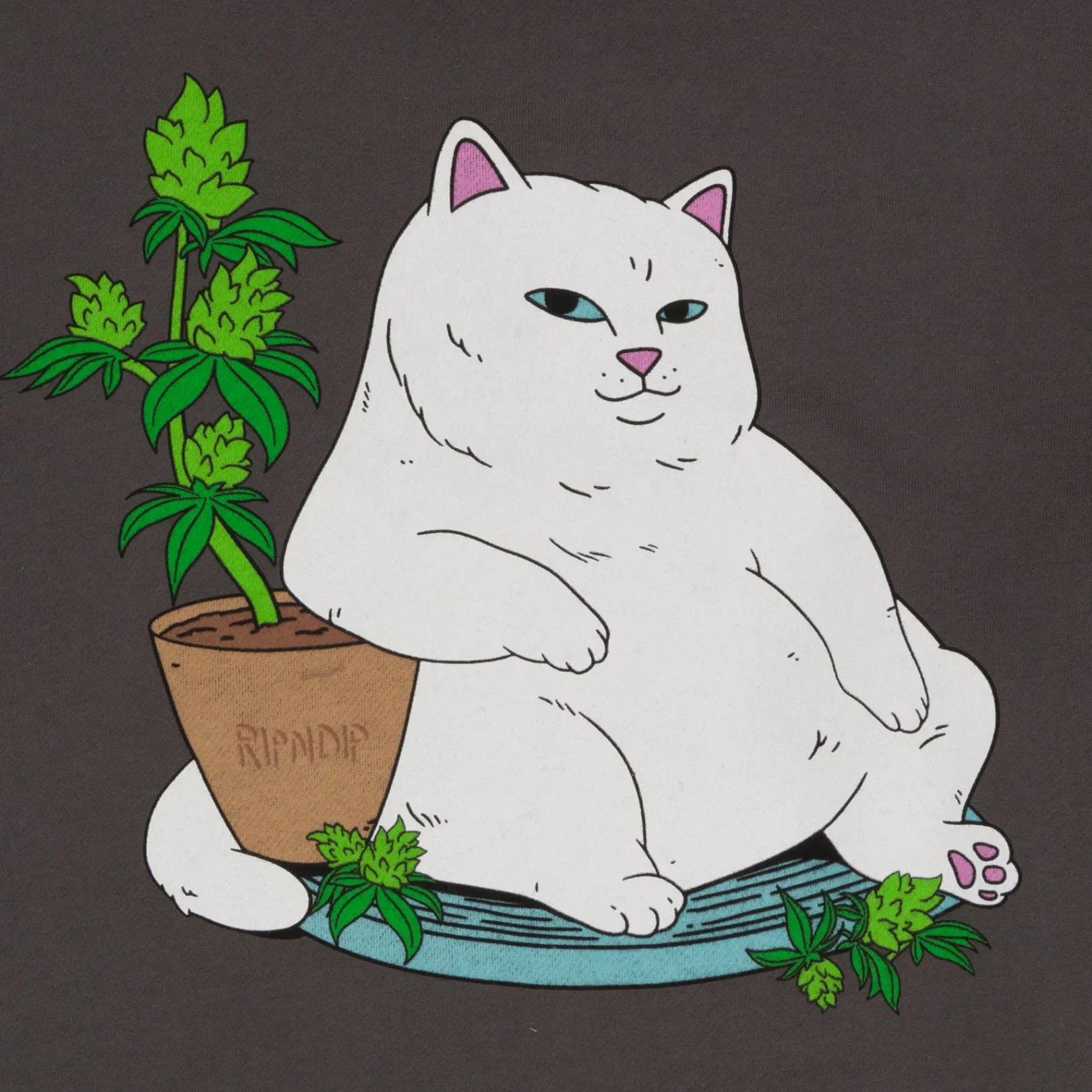 flower_boy_hoodie_charcoal_4-1.webp Flower Boy Hoodie (Charcoal)<Ripndip Store